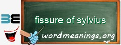 WordMeaning blackboard for fissure of sylvius